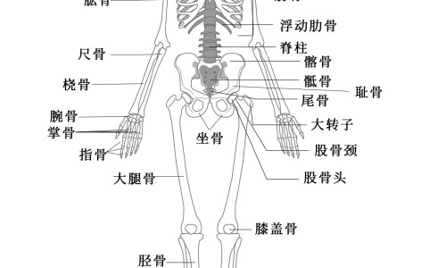 乌鸡汤莲子怎么炖最有营养-乌鸡莲子汤功效网—知名的乌鸡莲子汤的起源故事网站,分享乌鸡莲子汤的功效知识