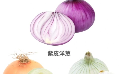 乌鸡莲子汤功效网—知名的乌鸡莲子汤的起源故事网站,分享乌鸡莲子汤的功效知识